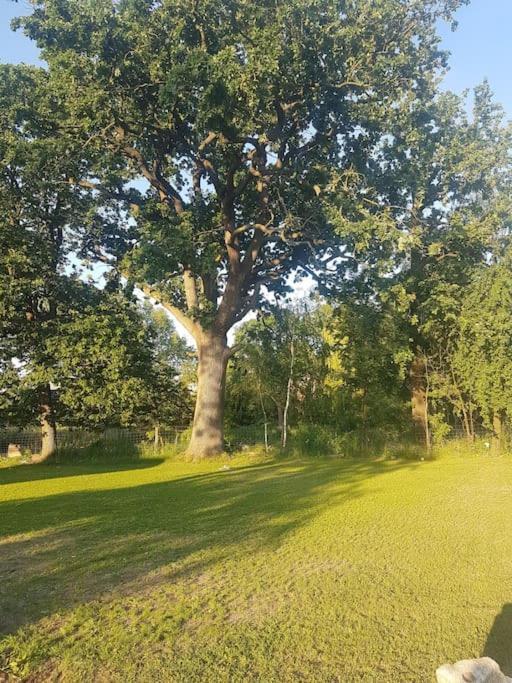 Am Rande Des Mueritz-nationalparks Apartment Kargow