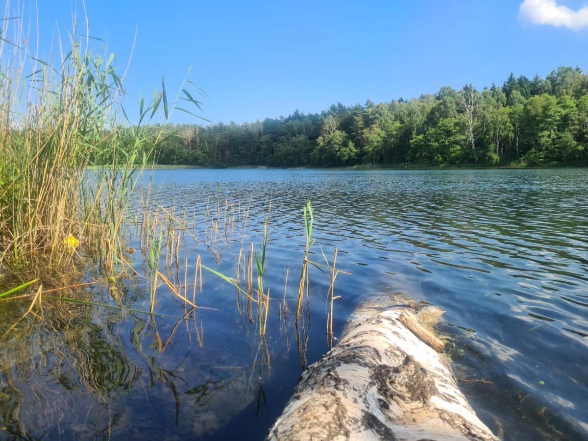 Am Rande Des Mueritz-nationalparks Kargow